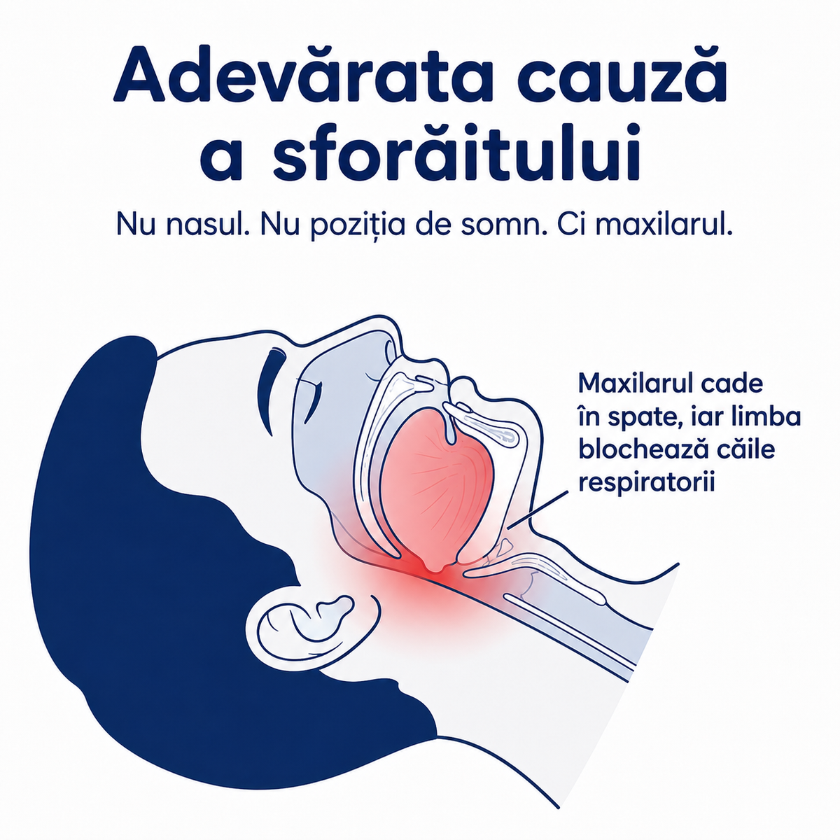Opreste sforaitul inca din prima noapte – VitaNocta (+ CASETA IGIENICA DE PROTECTIE CADOU)